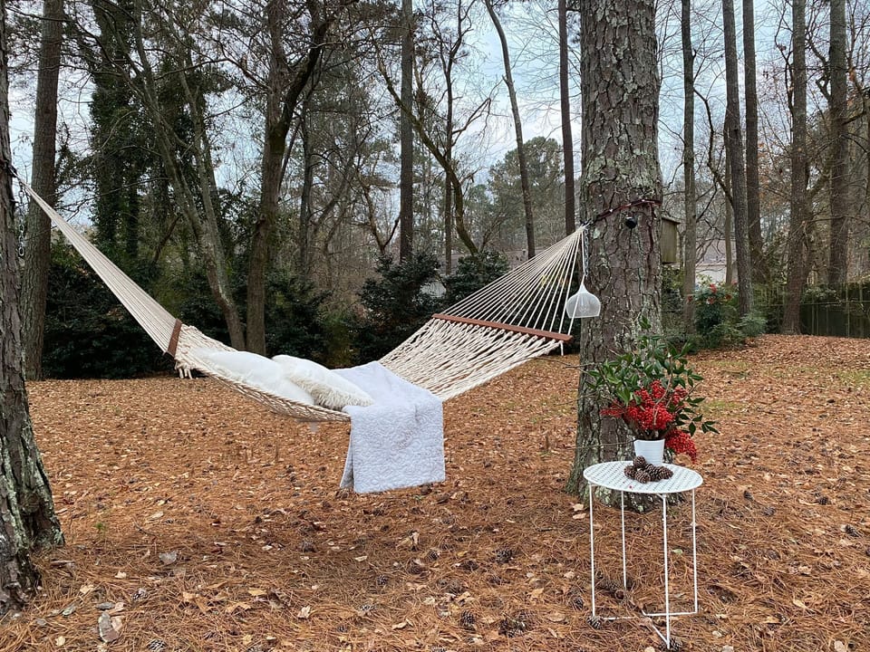 Back yard