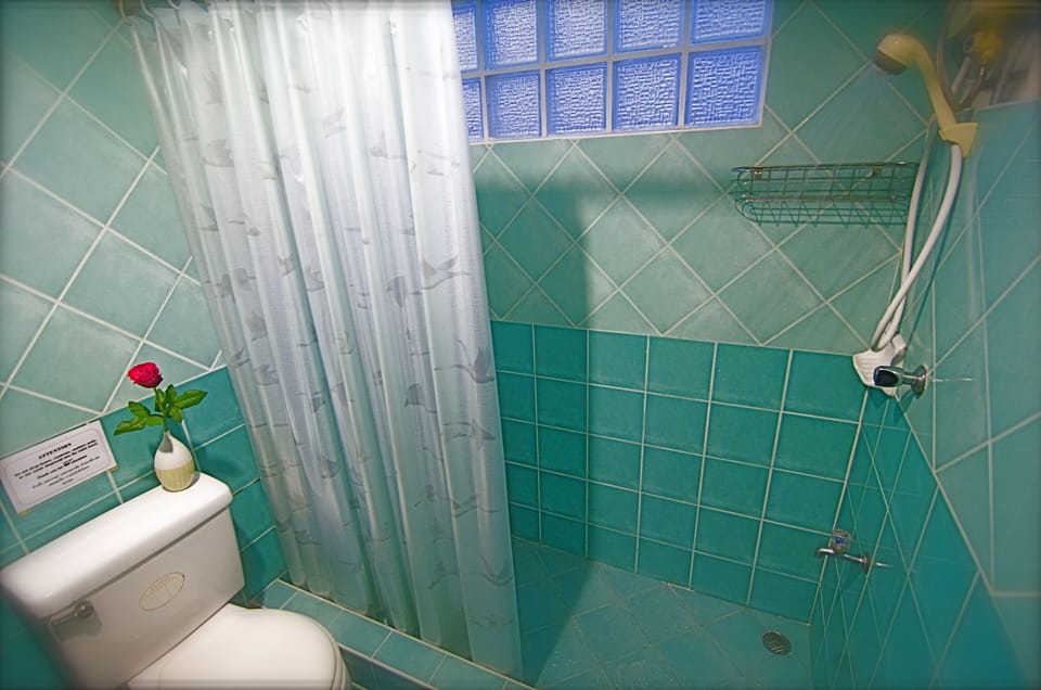 Shower, slippers, towels