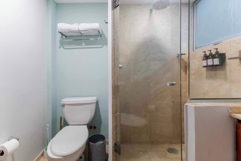 Stylish bathroom with a designer shower enclosure.



