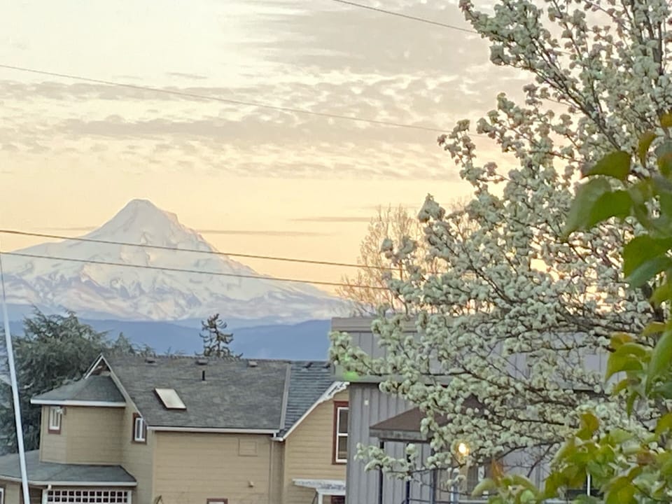 Mt Hood  view from dining room