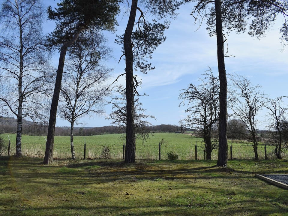 Garden | Pinewood Cabin, Dunfermline