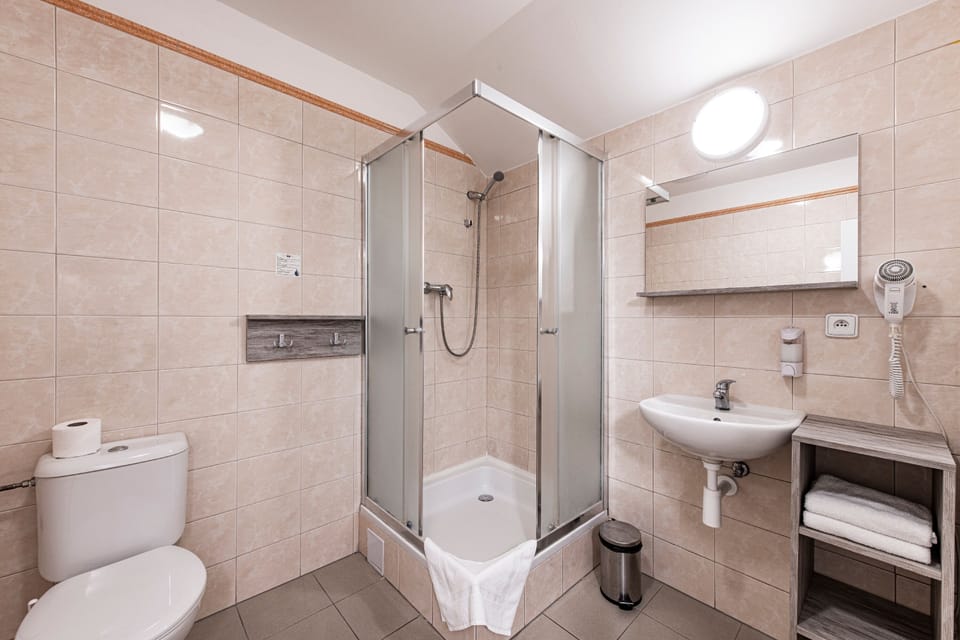 Shower, hair dryer, towels