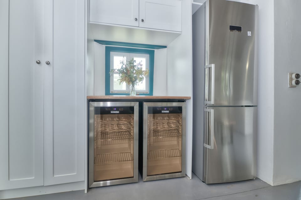 Fridge and wine fridge