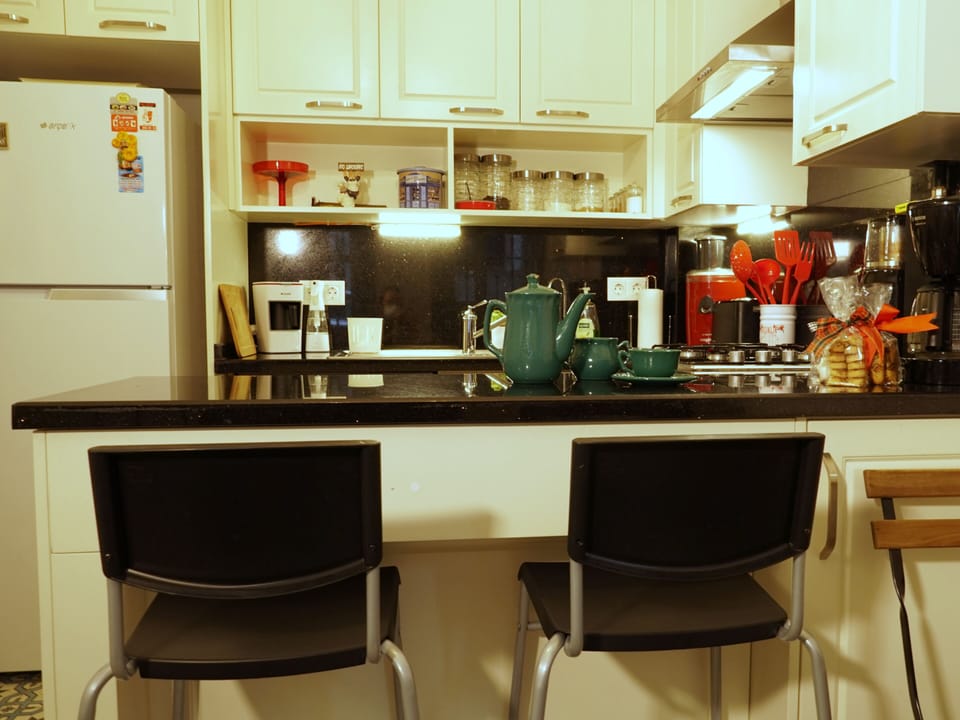 Fridge, oven, stovetop, dishwasher