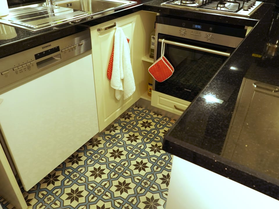 Fridge, oven, stovetop, dishwasher