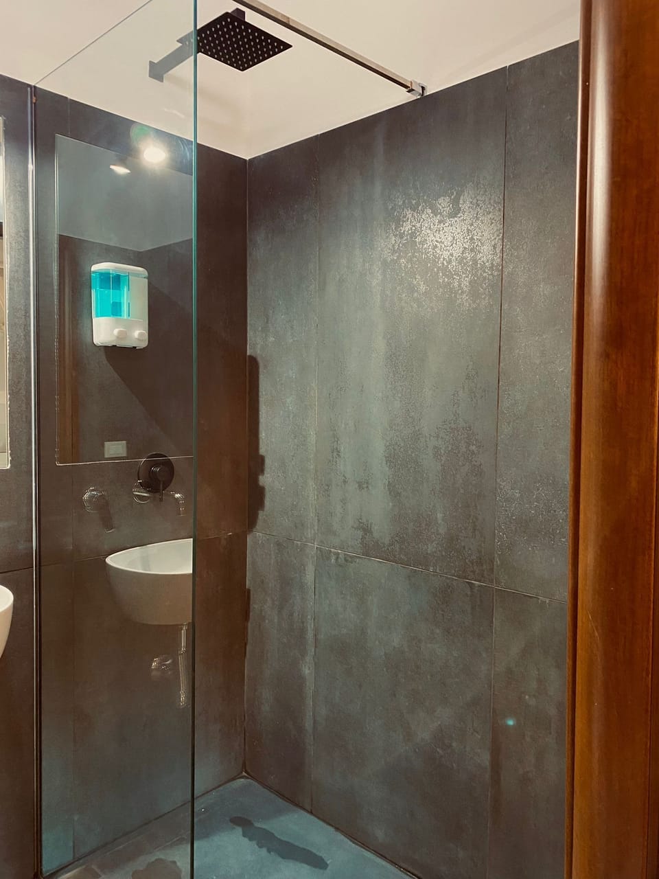 Hair dryer, bidet, towels, shampoo