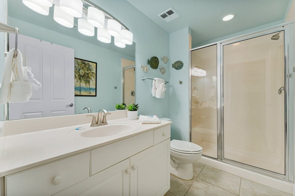 2nd bath with step-in  shower.