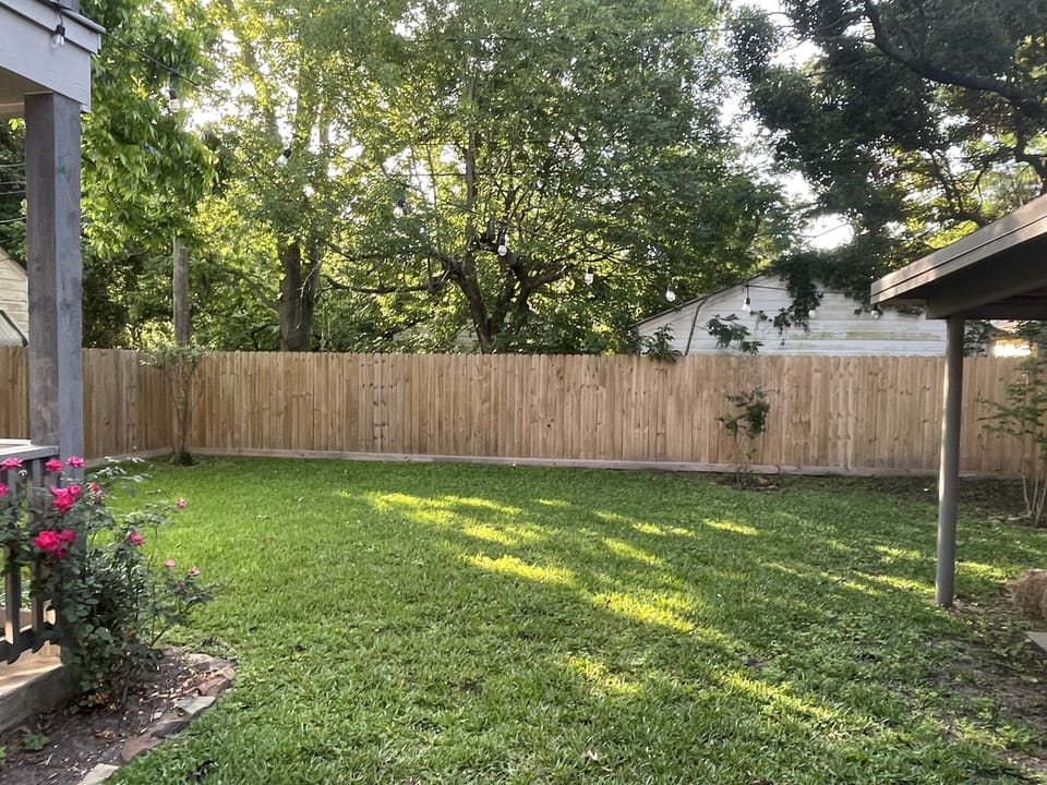 Fenced backyard 
