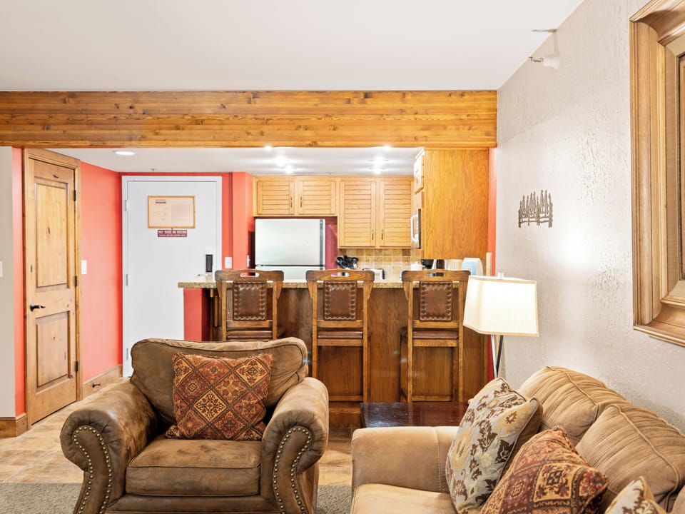 Living Area with Sleeper Sofa / Kitchen