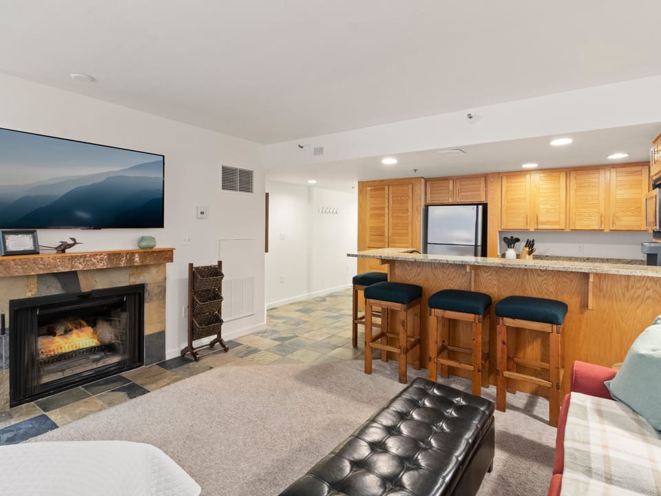 Living Area / Kitchen