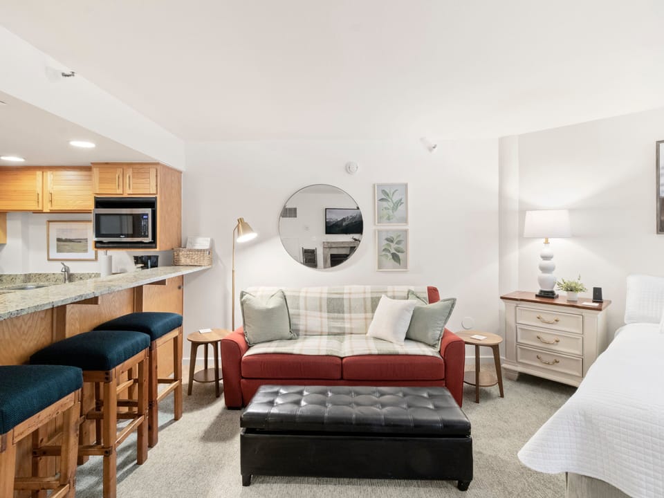 Living Area / Sofa / Sofa Sleeper