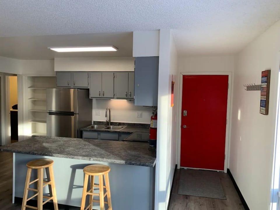 Sunny Entry/living room/kitchen 