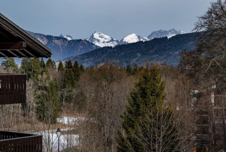 VIEW FROM THE BALCONY