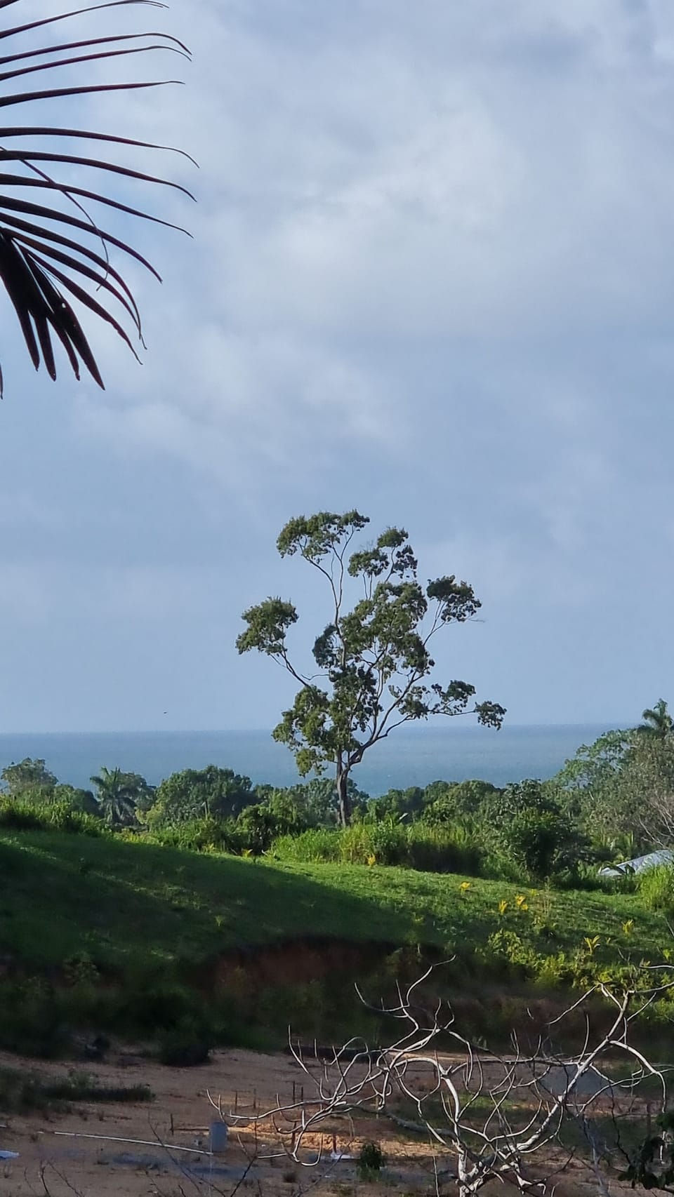 the Caribbean!