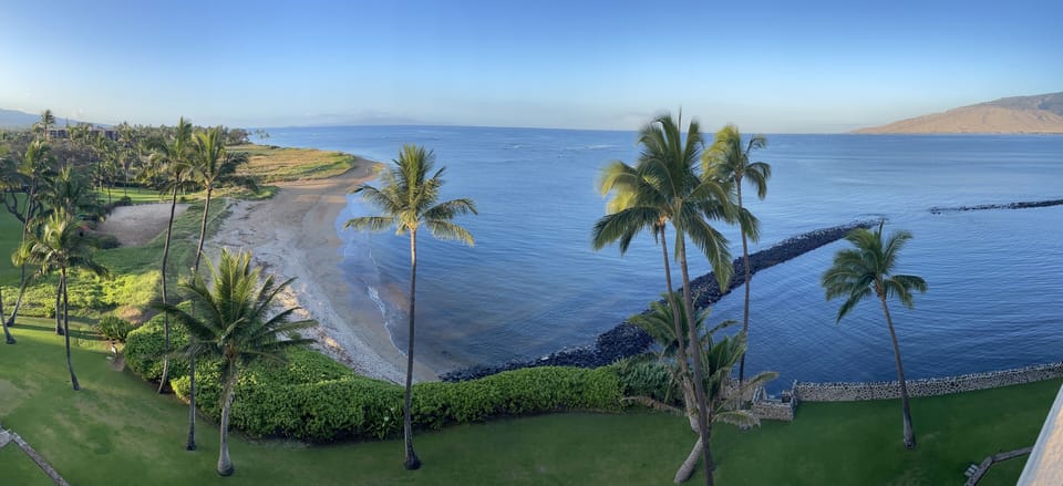 View from Rooftop