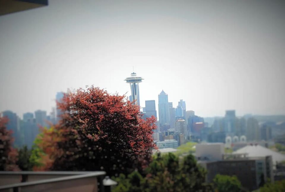 The Hazy View