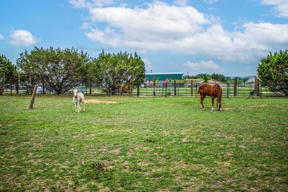 Meet Sassy and Red Duke! They like to make sure their human guests enjoy the place as much as they do.