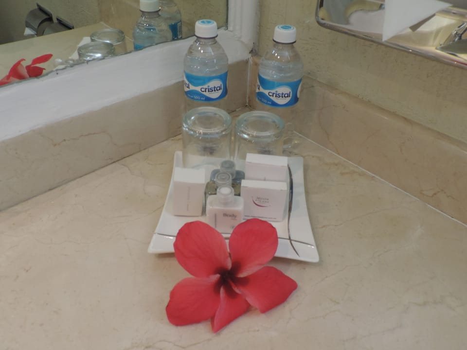 Deep soaking tub, free toiletries, hair dryer, towels