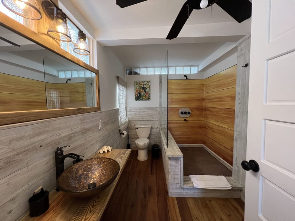 Blue Hole, Deluxe Apartment | Bathroom | Shower, rainfall showerhead, designer toiletries, hair dryer