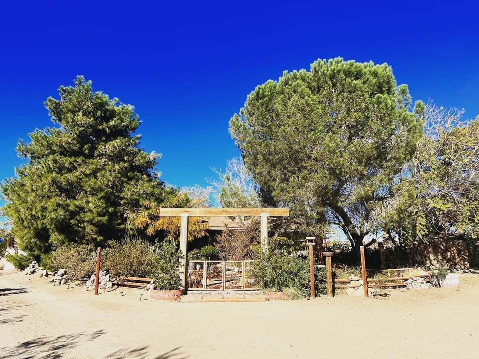 Galaxy Gardens Entrance