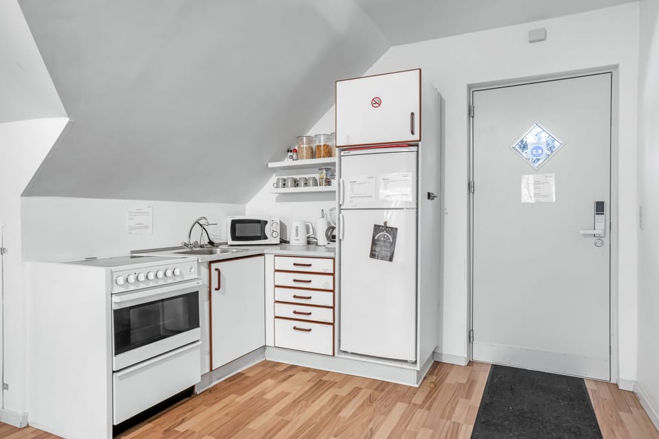 Full-size fridge, microwave, oven, stovetop