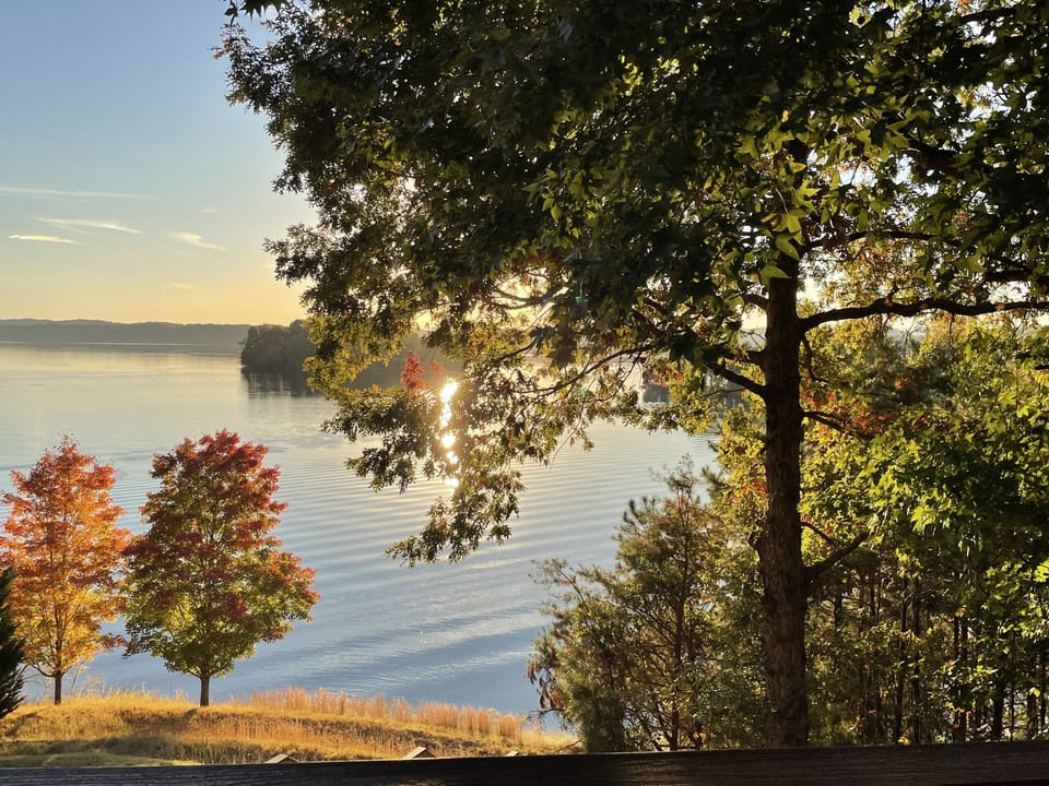 View from property