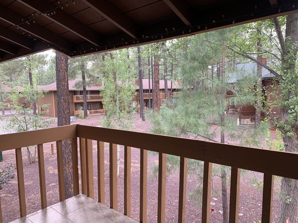 This serene view is why this charming home is named Pinescape. it feels like a storybook. Beneath the pines...