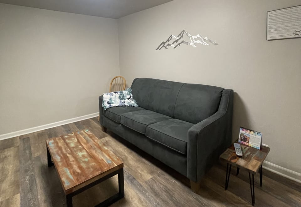 Living room, pull out sofa