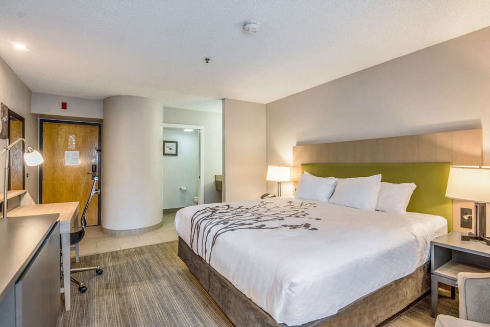 Standard Room, 1 King Bed, Non Smoking | Desk, laptop workspace, blackout drapes, iron/ironing board