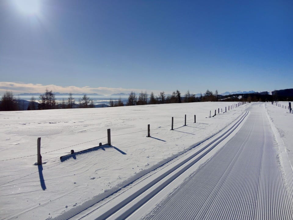 Sky, Cloud, Snow, Plant, Tree, Slope, Natural Landscape, Wood, Freezing, Landscape