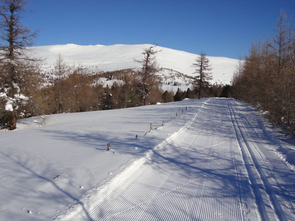Sky, Snow, Mountain, Plant, Slope, Wood, Tree, Mountainous Landforms, Freezing, Landscape