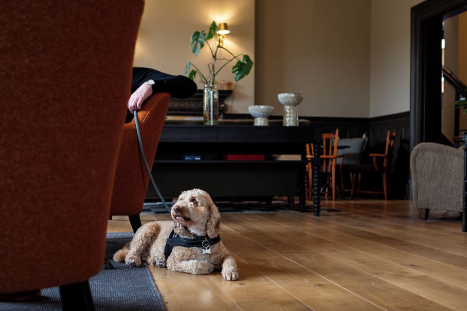 New Park Manor Hotel in Brockenhurst