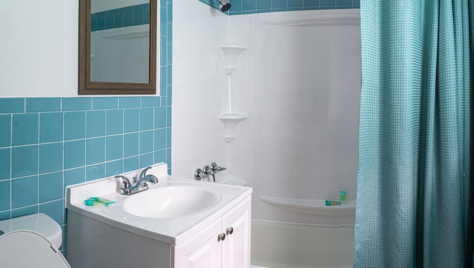 Combined shower/tub, free toiletries, towels