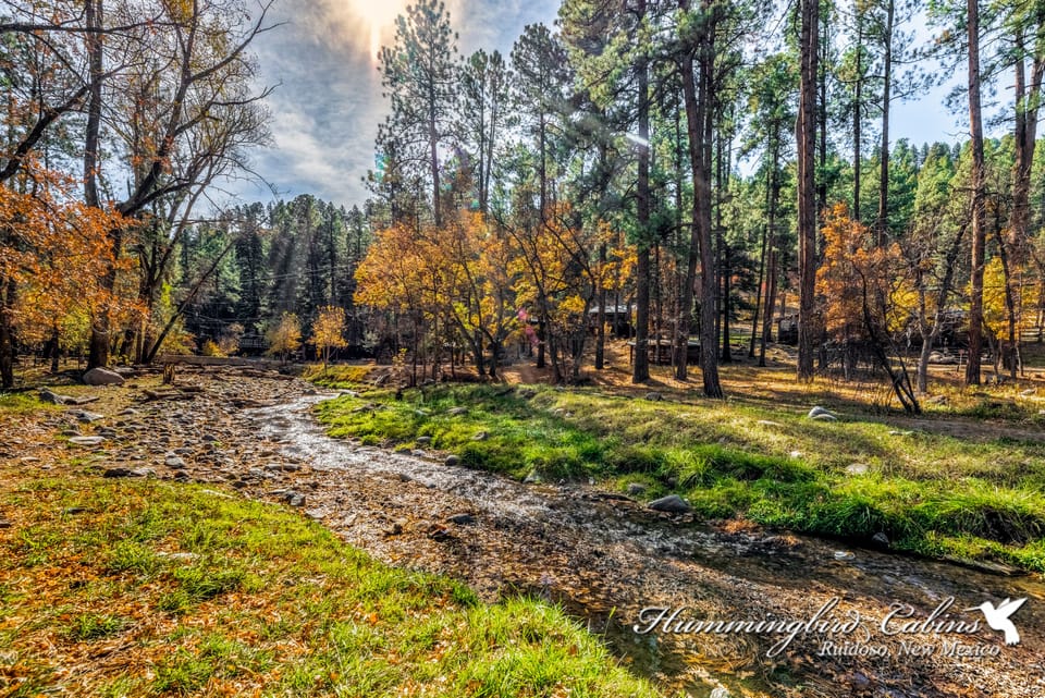 River with the gorgeous fall leaves.