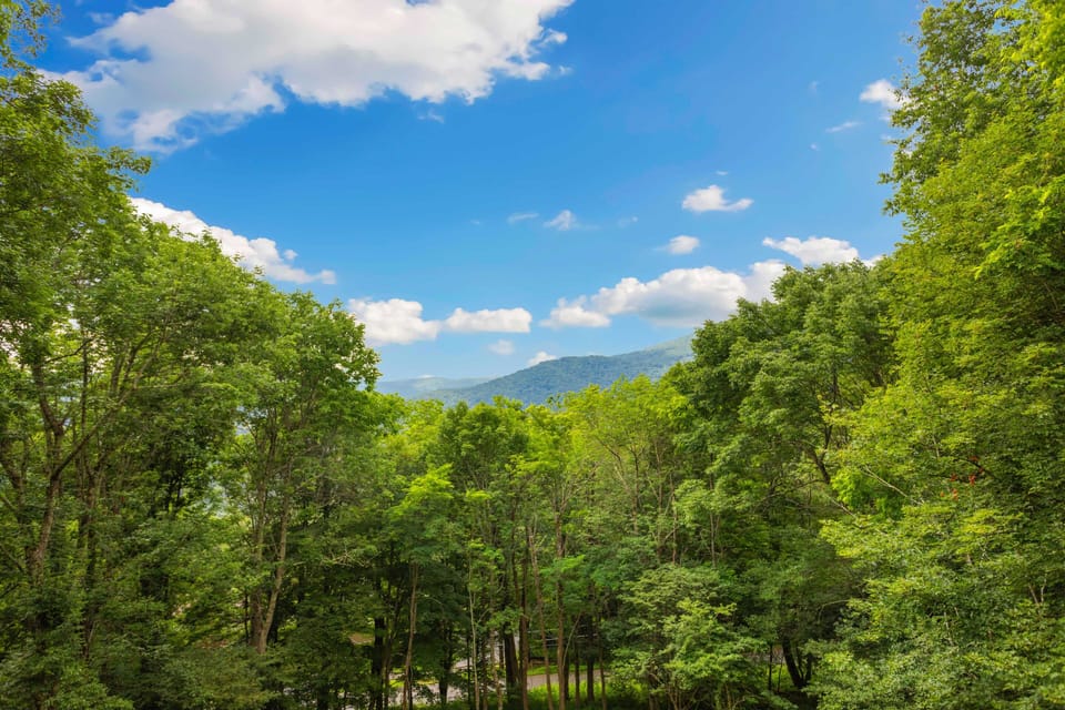Summer Mountain View From the Deck