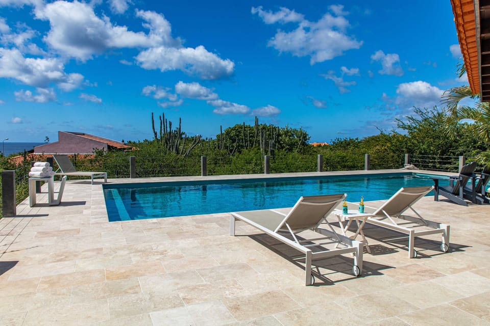 Large pool and deck area for sunbathing!
