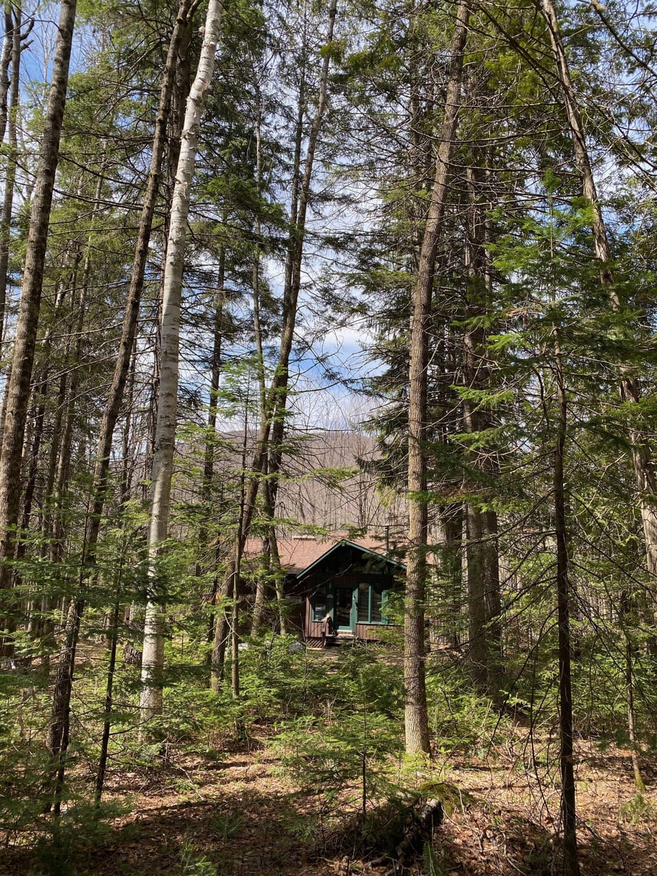 We're sitting back in the woods but a few minutes from everything.
