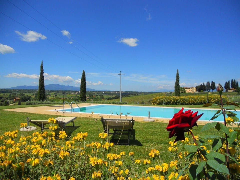 Holiday Home Swimming Pool