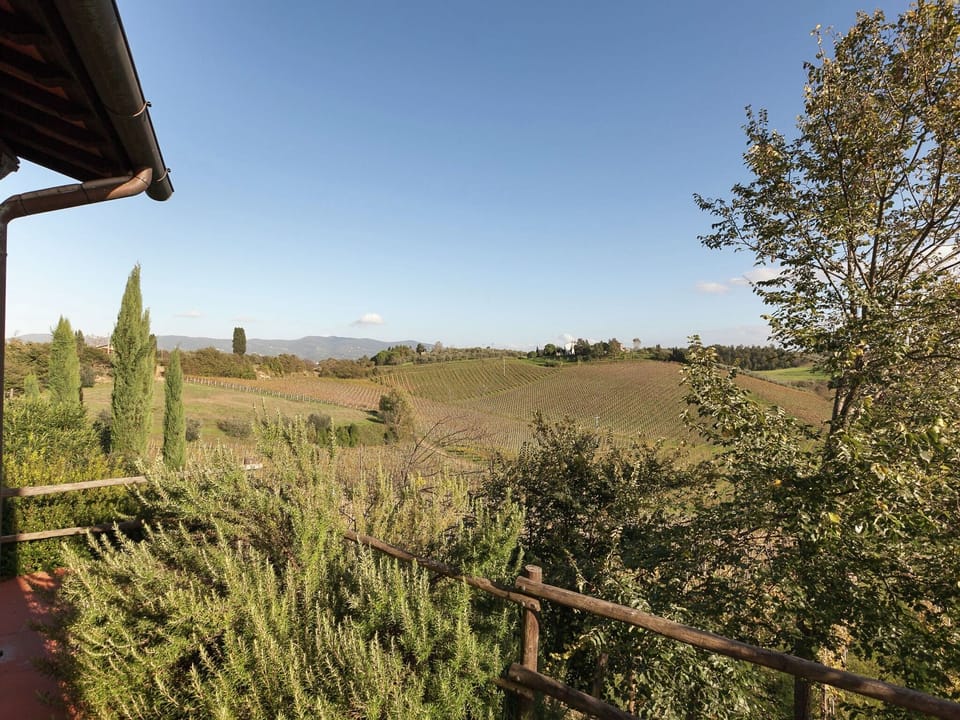 View from Holiday Home [summer]