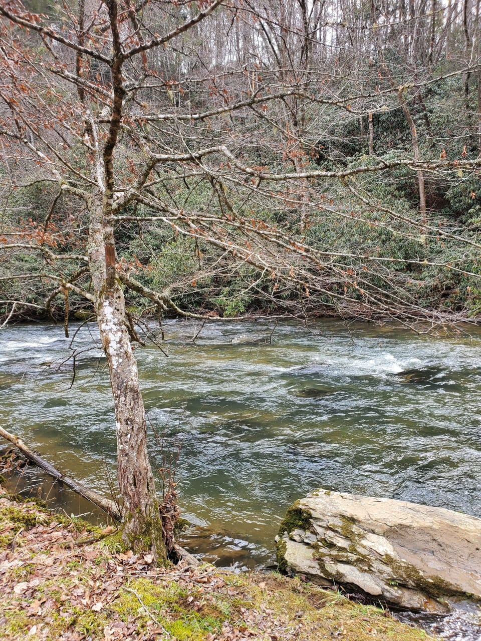 RIVER BY HOUSE 