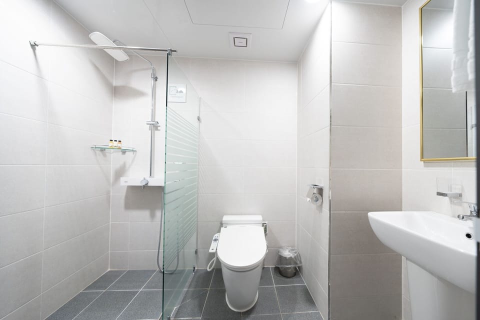 Standard Double Room | Bathroom | Shower, rainfall showerhead, hair dryer, electronic bidet