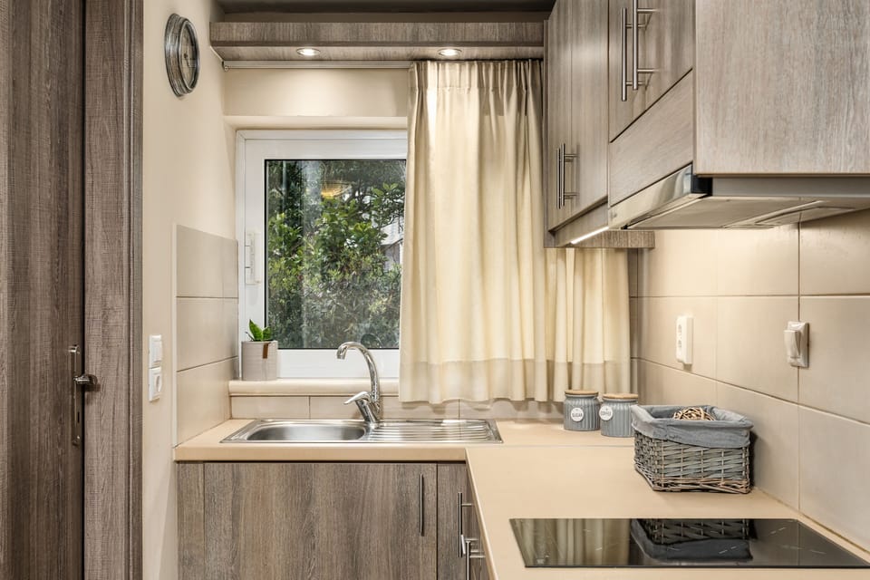 Deluxe Apartment | Private kitchen | Stovetop, coffee/tea maker, toaster, blender