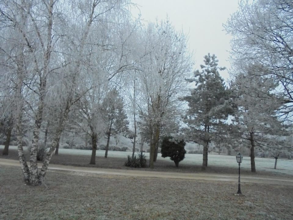 Miscellaneous