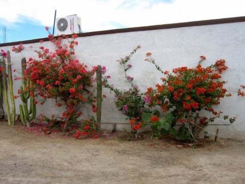 Secure gated parking is included with your stay for one vehicle — providing peace of mind just minutes from the San Felipe Malecon .