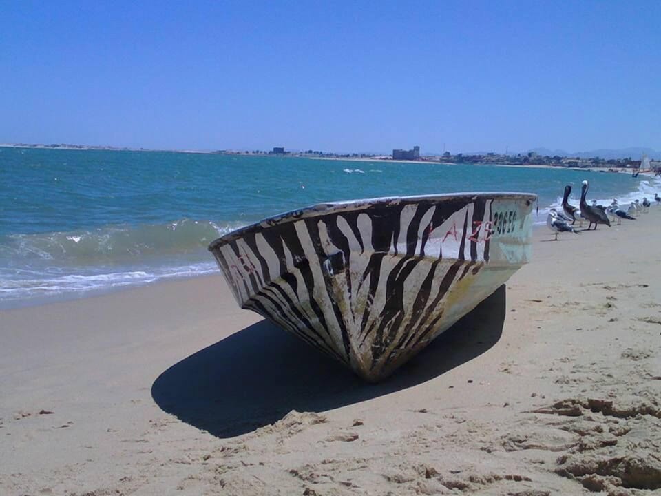 Fishing boats are often pulled up on the sand near the fishing cooperative launch area and the Malecón, reflecting San Felipe's roots as a traditional fishing village