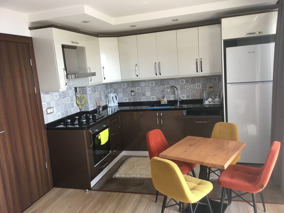Full-size fridge, oven, stovetop, dishwasher