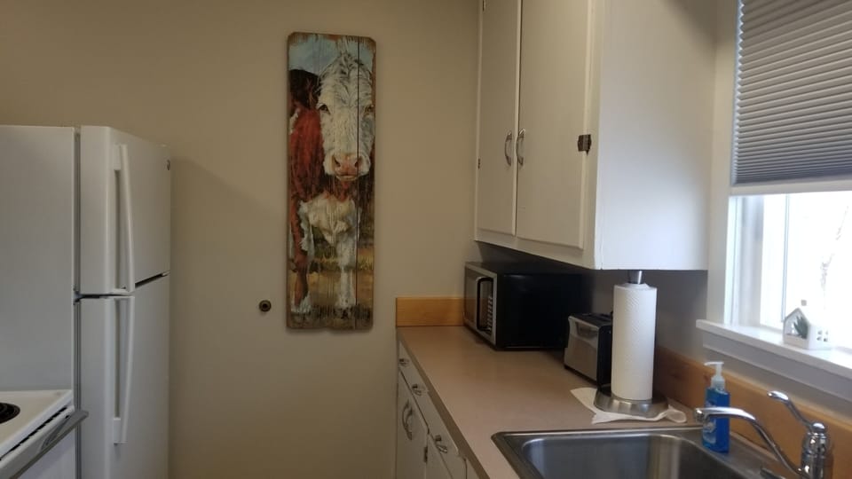 Microwave and other appliances