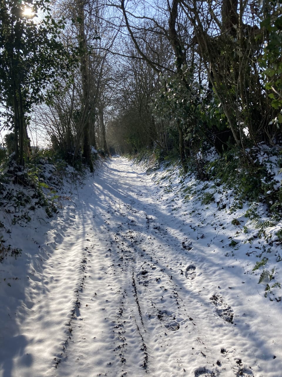 Snow and ski sports