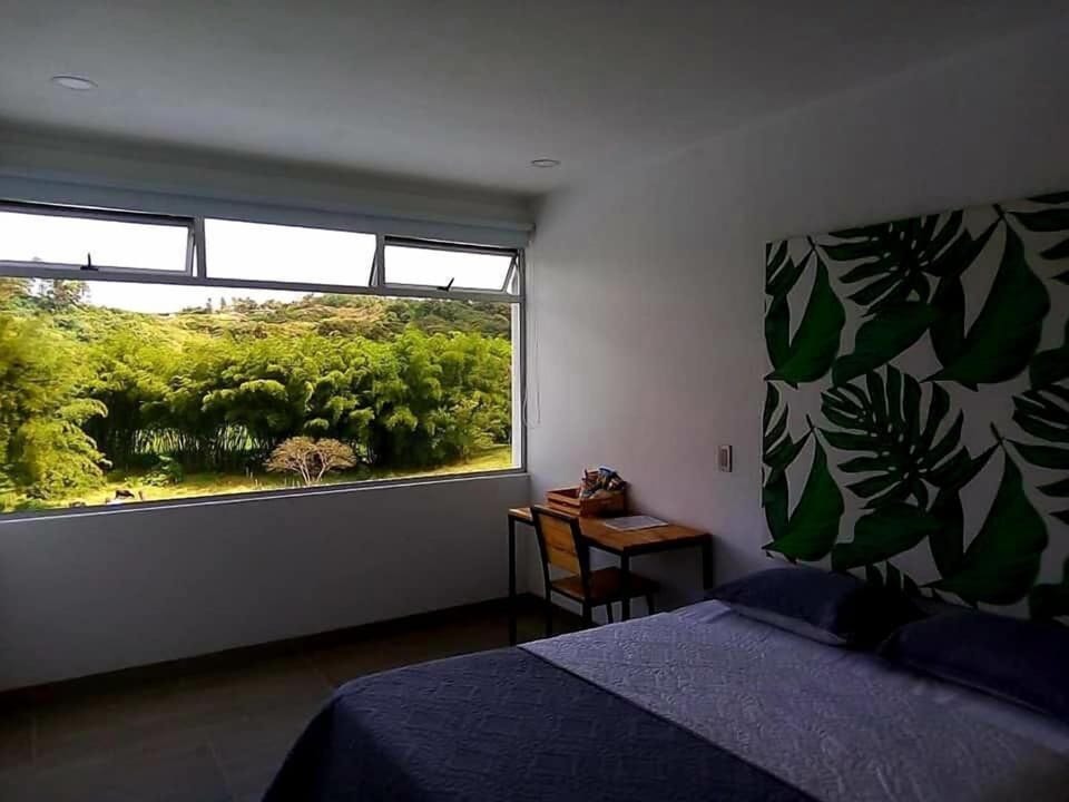 Standard Room, Garden View | View from room