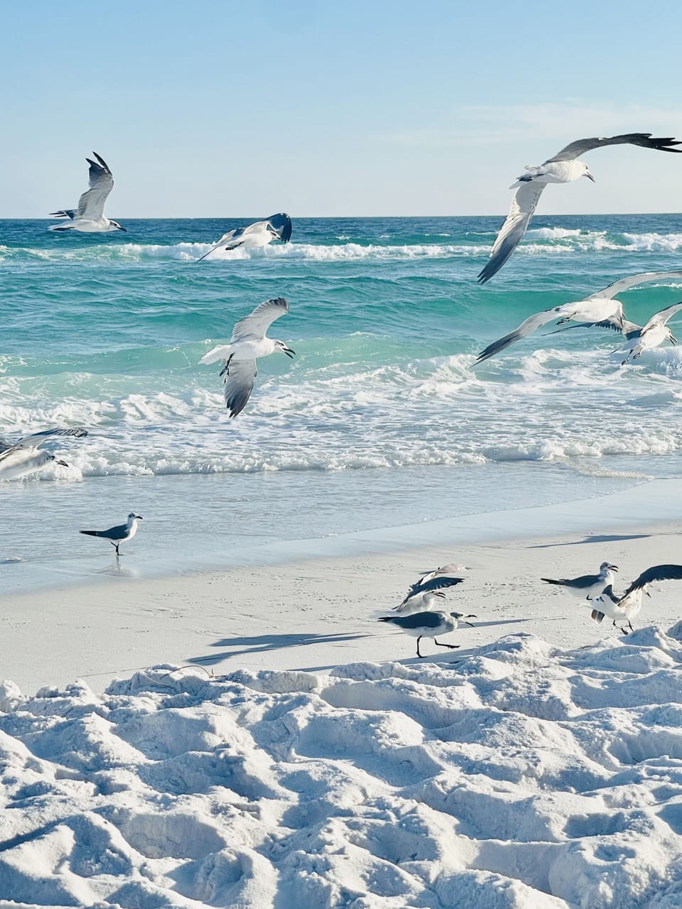 Beach